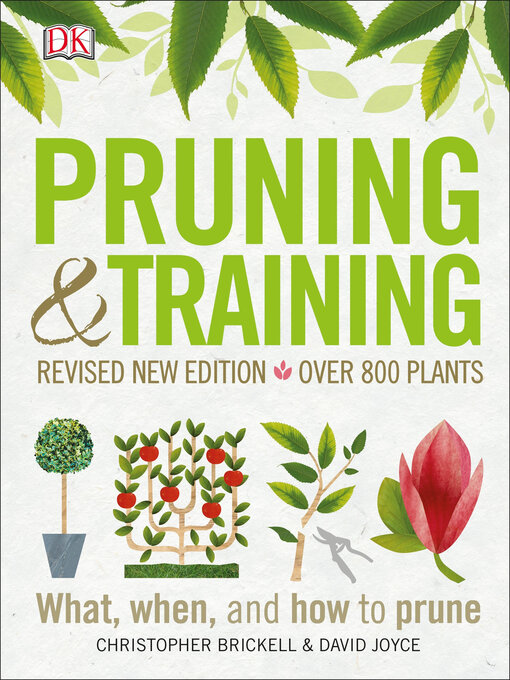 Cover image for Pruning and Training, Revised New Edition